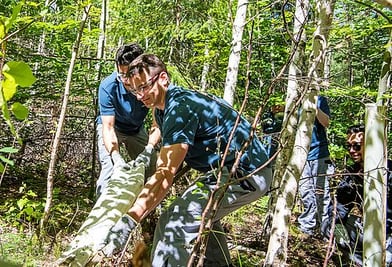 Les apprentis et étudiants d'ARKU mettent la main à la pâte dans la forêt avec la direction de l'entreprise